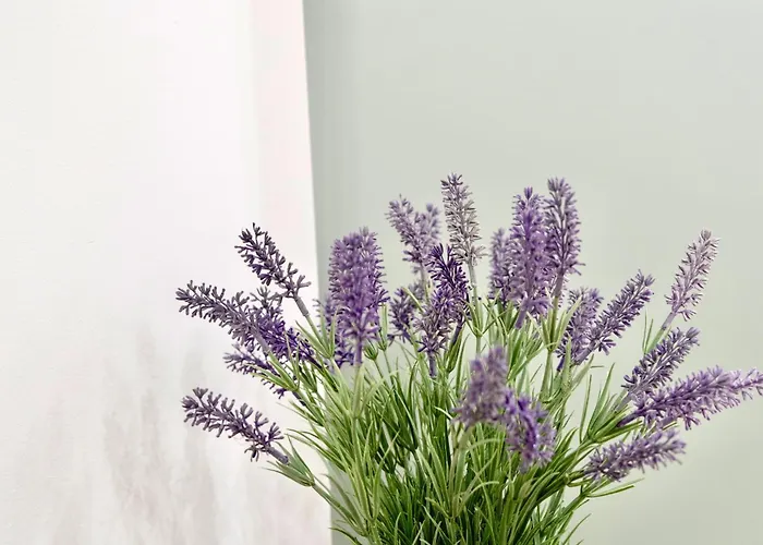 Appartement Train Station By Collection Lugo